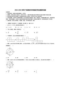 2024-2025学年广东省梅州市丰顺县中考五模数学试题含解析