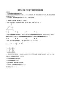 邯郸市永年县2025届中考数学模拟精编试卷含解析