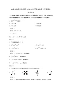 【数学】山东省泰安市泰山区2024-2025学年九年级下学期期中试题（解析版）