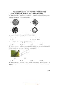 2024～2025学年广东省深圳市坪山区八年级下期末数学试卷