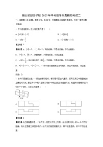 【数学】湖北省部分学校2025年中考全真模拟考试二（解析版）