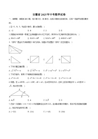 安徽省2025年中考数学试卷（含解析）