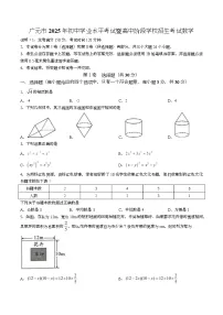 2025年四川省广元市中考数学真题(无答案)