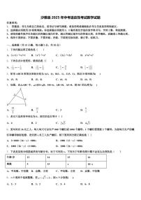沙雅县2025年中考适应性考试数学试题含解析