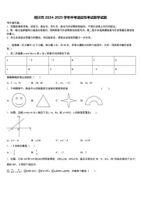铜川市2024-2025学年中考适应性考试数学试题含解析