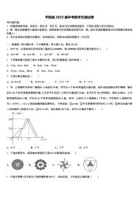 平阳县2025届中考数学五模试卷含解析