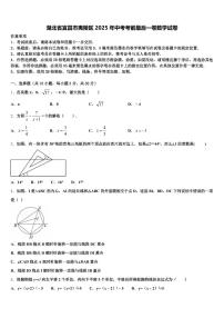 湖北省宜昌市夷陵区2025年中考考前最后一卷数学试卷含解析