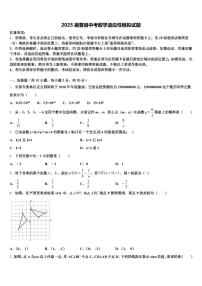 2025届曹县中考数学适应性模拟试题含解析