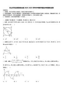 乐山市马边彝族自治县2024-2025学年中考数学最后冲刺模拟试卷含解析