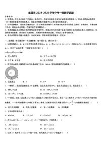 乐昌市2024-2025学年中考一模数学试题含解析