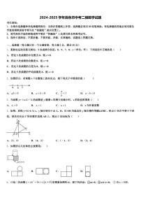 2024-2025学年百色市中考二模数学试题含解析