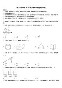 湛江市麻章区2025年中考数学全真模拟试题含解析