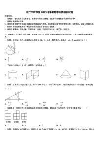 湛江市麻章区2025年中考数学全真模拟试题含解析