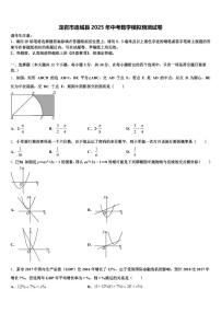 龙岩市连城县2025年中考数学模拟预测试卷含解析