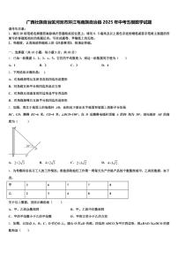 广西壮族自治区河池市环江毛南族自治县2025年中考五模数学试题含解析