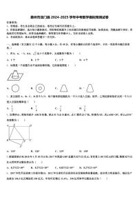 惠州市龙门县2024-2025学年中考数学模拟预测试卷含解析