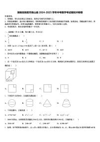 湖南省衡阳市衡山县2024-2025学年中考数学考试模拟冲刺卷含解析