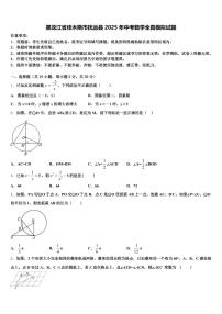 黑龙江省佳木斯市抚远县2025年中考数学全真模拟试题含解析