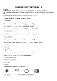 河南省漯河市2025年中考数学考前最后一卷含解析