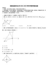 湖南省益阳市沅江市2024-2025学年中考数学模拟试题含解析