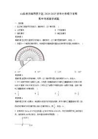 山东省济南市历下区2024-2025学年七年级下学期期中考试数学试题（解析版）