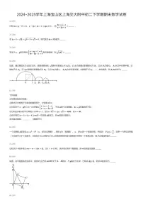 2024~2025学年上海宝山区上海交大附中初二下学期期末数学试卷（有答案解析）