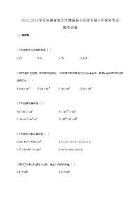 2024_2025学年安徽省淮北市濉溪县七年级下册6月期末考试数学试卷
