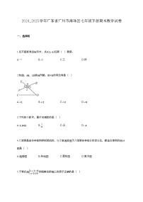 2024_2025学年广东省广州市海珠区七年级下册期末数学试卷