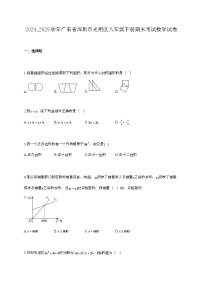 2024_2025学年广东省深圳市光明区八年级下册期末考试数学试卷