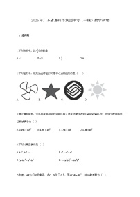 2025年广东省惠州市集团中考（一模）数学试卷