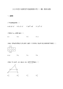 2025年四川省南充市名校联测中考（一模）数学试卷