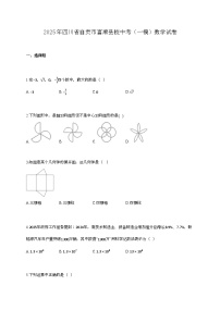 2025年四川省自贡市富顺县校中考（一模）数学试卷