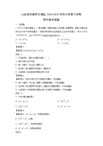【数学】山东省济南市长清区2024-2025学年七年级下学期期中试题（解析版）