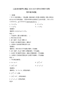【数学】山东省济南市长清区2024-2025学年七年级下学期期中试题（解析版）