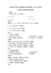 【数学】山东省济宁市济宁高新技术产业开发区2024-2025学年七年级下学期期中试卷（解析版）