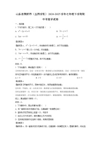 【数学】山东省莱阳市（五四学制）2024-2025学年七年级下学期期中考试卷（解析版）