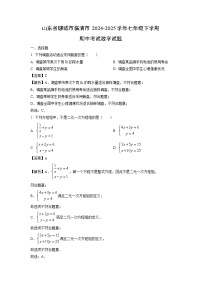 【数学】山东省聊城市临清市2024-2025学年七年级下学期期中考试试题（解析版）