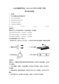 【数学】山东省聊城市莘县2024-2025学年七年级下学期期中试题（解析版）
