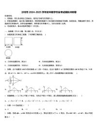 沙河市2024-2025学年初中数学毕业考试模拟冲刺卷含解析