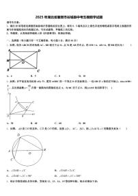 2025年湖北省襄樊市谷城县中考五模数学试题含解析
