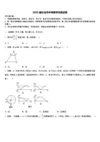 2025届长治市中考数学仿真试卷含解析