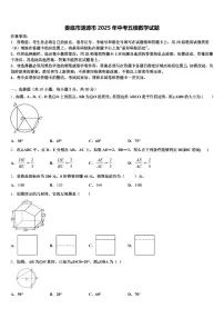 娄底市涟源市2025年中考五模数学试题含解析