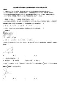 2025届河北省衡水市枣强县中考适应性考试数学试题含解析