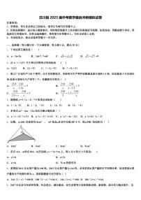 汶川县2025届中考数学最后冲刺模拟试卷含解析
