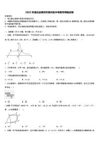 2025年湖北省黄冈市黄州区中考数学押题试卷含解析