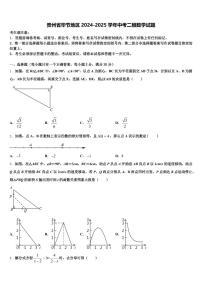 贵州省毕节地区2024-2025学年中考二模数学试题含解析
