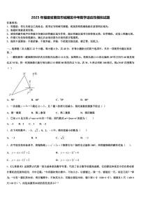 2025年福建省莆田市城厢区中考数学适应性模拟试题含解析