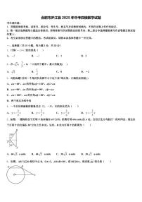 合肥市庐江县2025年中考四模数学试题含解析