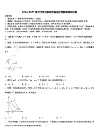2024-2025学年辽宁省阜新市中考数学模拟预测试卷含解析