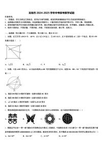 龙海市2024-2025学年中考联考数学试题含解析